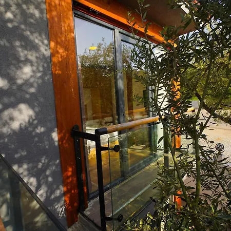 Qcunda Ayvalı