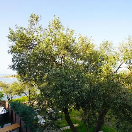 Otel Qcunda Ayvalı