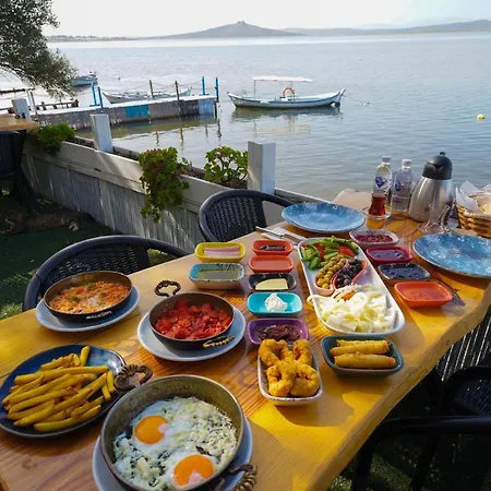 Qcunda Ayvalı